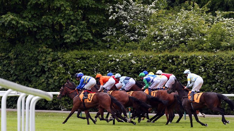 A general view of the field during the 888sport Pinnacle Stakes at Haydock