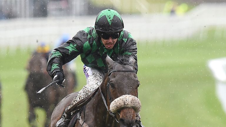 Clever Cookie: Could run at York