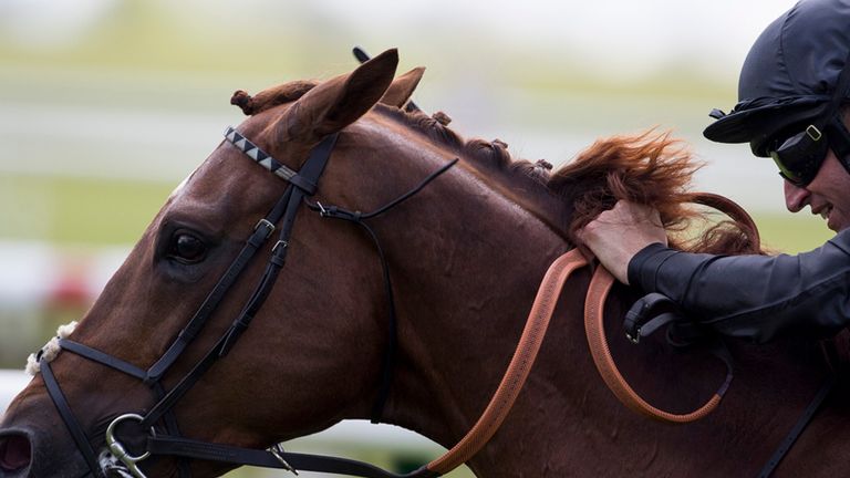 Astronereus ridden by Pat Dobbs leads the field home to win the QIPCO Supporting British Racing Stakes Race run during the QIPCO 1000 Guineas day of the QI