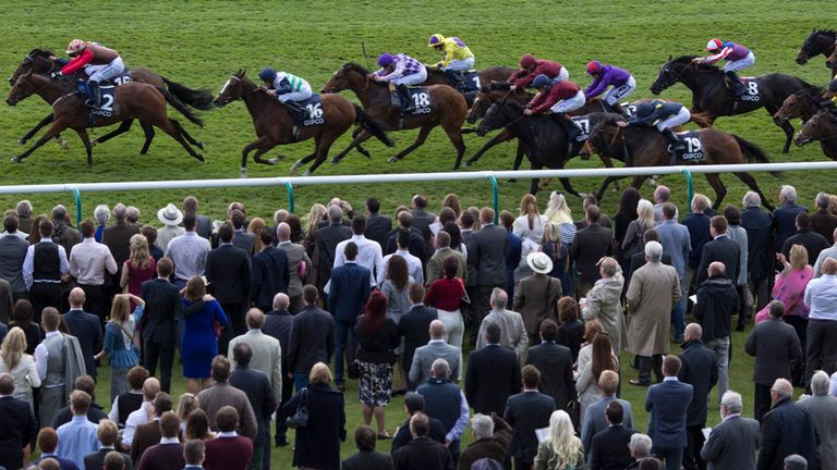 Runners head down the straight during the Havana Gold Handicap Stakes Race run on QIPCO 1000 Guineas day of the QIPCO Guineas Festival at Newmarket Racecou