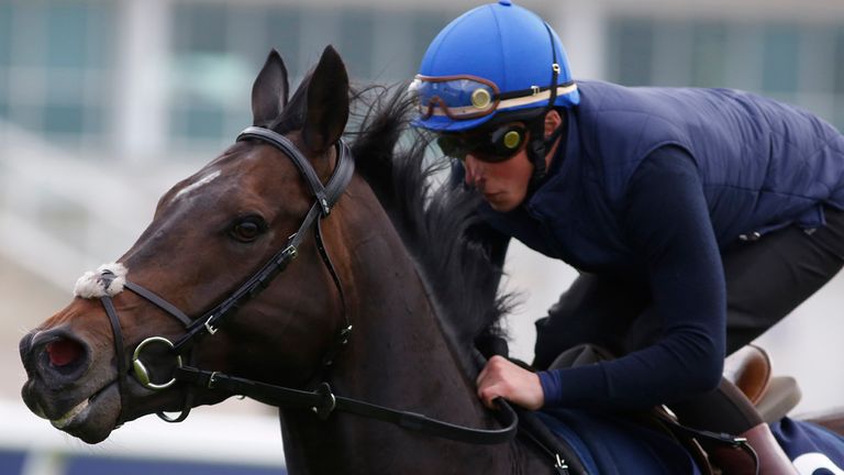 EPSOM, ENGLAND - MAY 26: William Buick riding Jack Hobbs during the 'Breakfast With The Stars' morning at Epsom racecourse on May 26, 2015 in Epsom, Englan