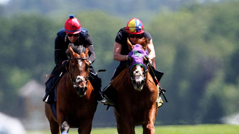 California Chrome (right), ridden by Frankie Dettori, during the workout at Ascot