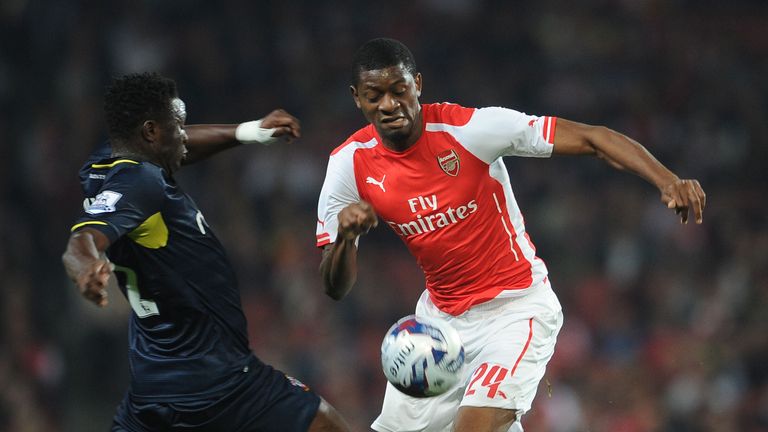 Abou Diaby: On the release list for Arsenal
