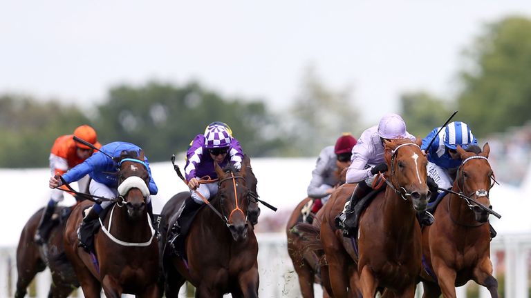 Dutch Connections go clear of his rivals in the Jersey Stakes...