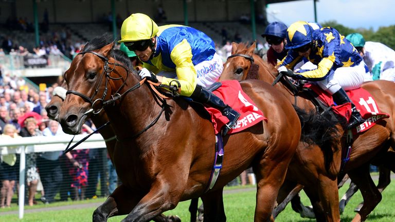 Bushcraft ridden by Graham Lee wins the Betfred 'Six Best Odds Races Daily' Handicap during the John Smith's Northumberland Plate Day at Newcastle Racecour
