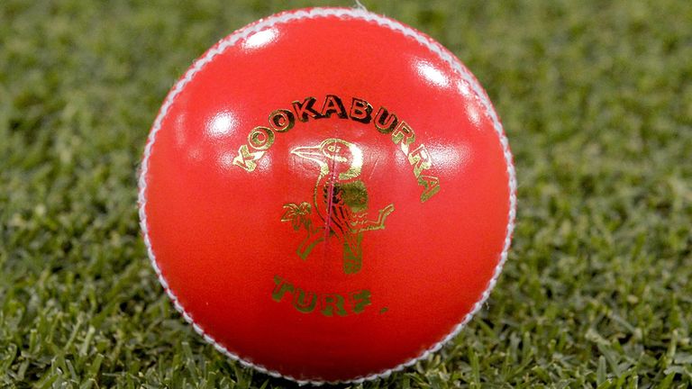 A pink cricket ball being used for a day/night match during the Sheffield Shield last year