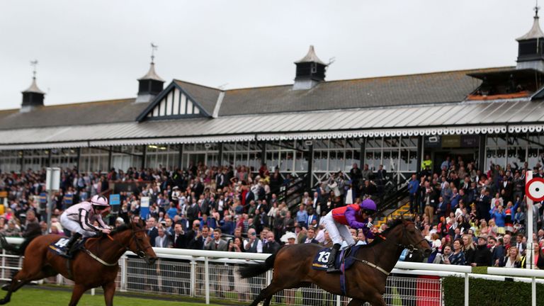 Jockey Neil Farley on Red Baron wins The William Hill Scottish Sprint Cup during Stobo Castle Ladies Day featuring Scottish Sprint Cup at Musselburgh Racec