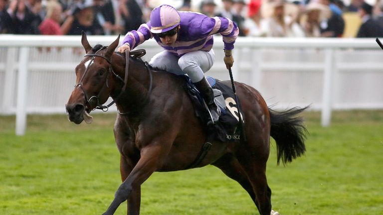 Suits You stretches clear under Cristian Demuro to win the Chesham Stakes at Royal Ascot