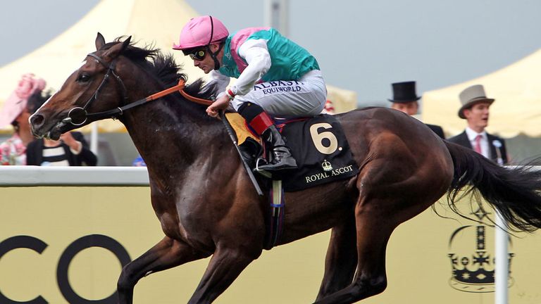 Snow Sky Hardwicke Stakes