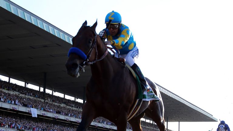 ELMONT, NY - JUNE 06:  American Pharoah #5, ridden by Victor Espinoza, comes down the final stretch ahead of the field on his way to winning the 147th runn