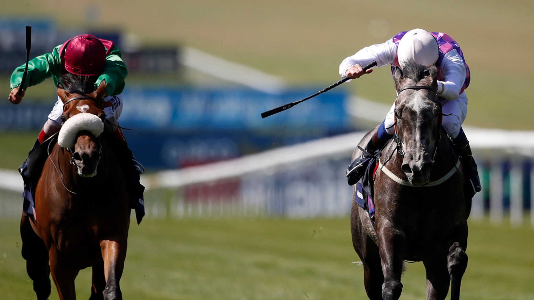 Matron Stakes At Leopardstown Option For Amazing Maria Racing News