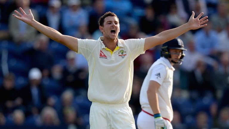 Josh Hazlewood: Australia bowler