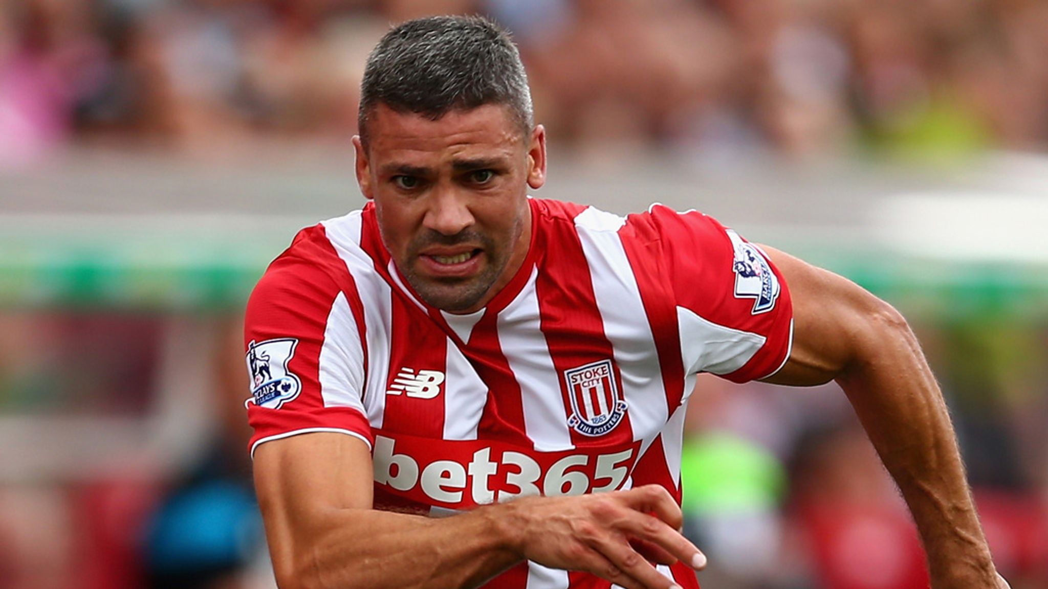 Jonathan Walters may lack finesse but to Stoke supporters he is solid gold, Stoke City