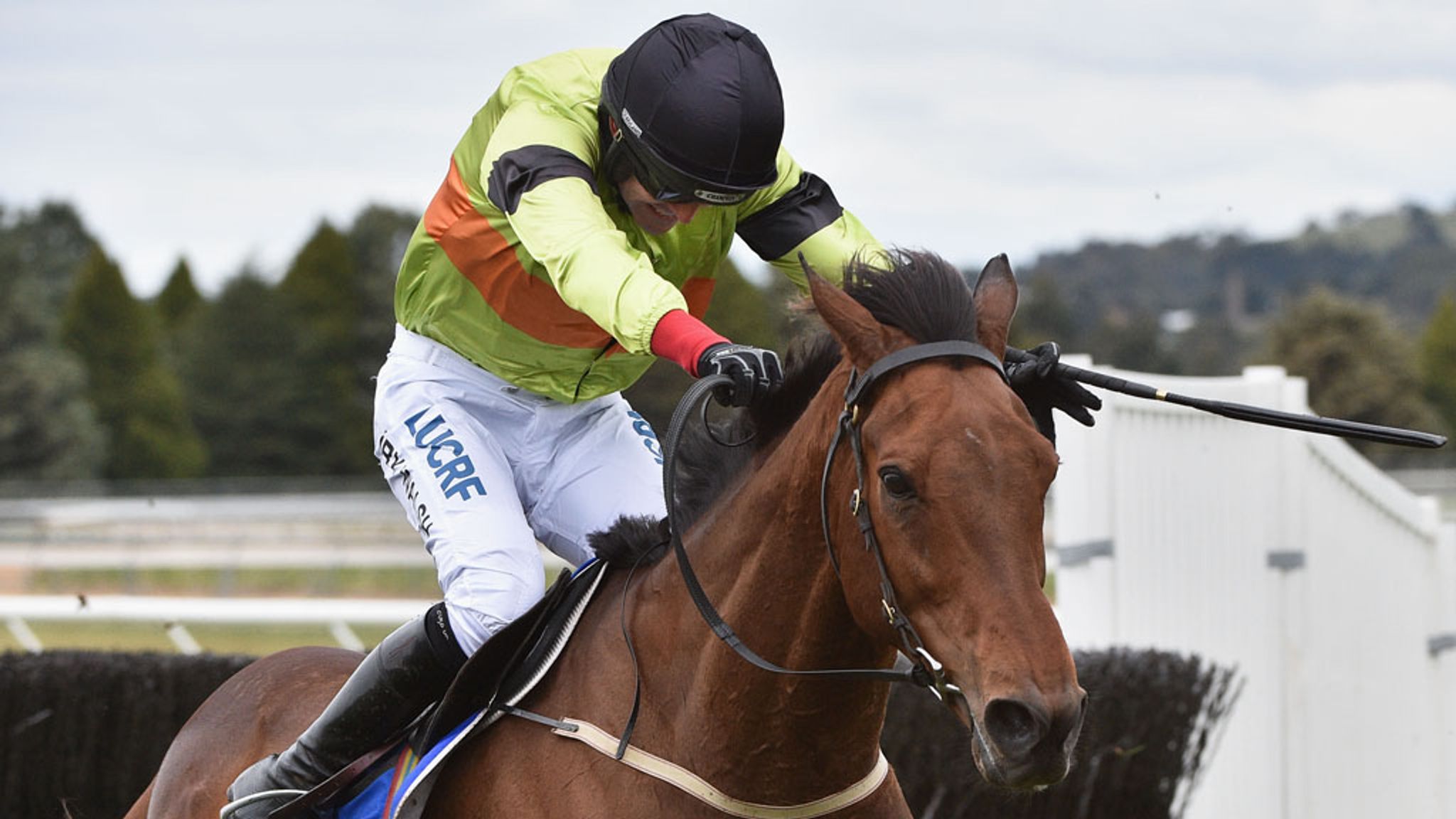 Ruby Walsh wins Australian Grand National on Bashboy Racing News