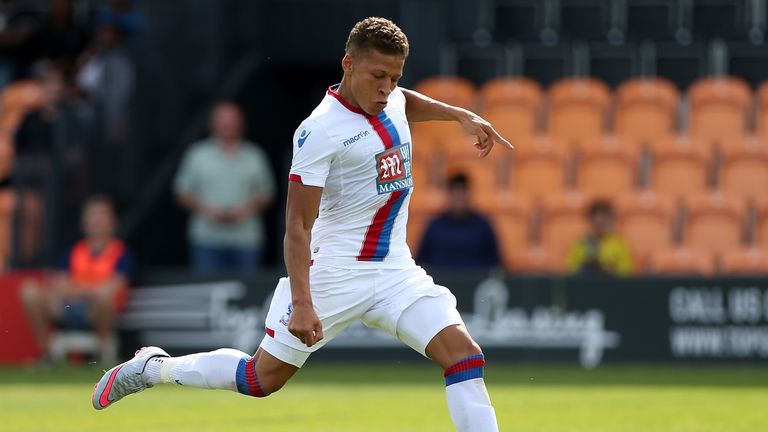 Dwight Gayle will be left to make up his own mind on a move to Bristol City, Alan Pardew says