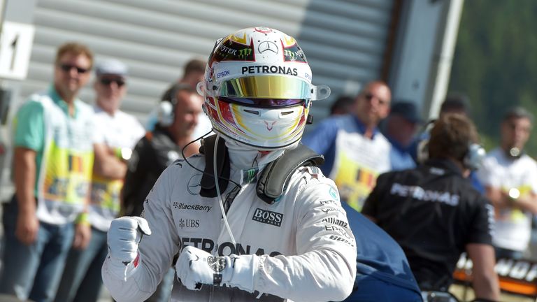 Lewis Hamilton celebrates after taking the pole position 