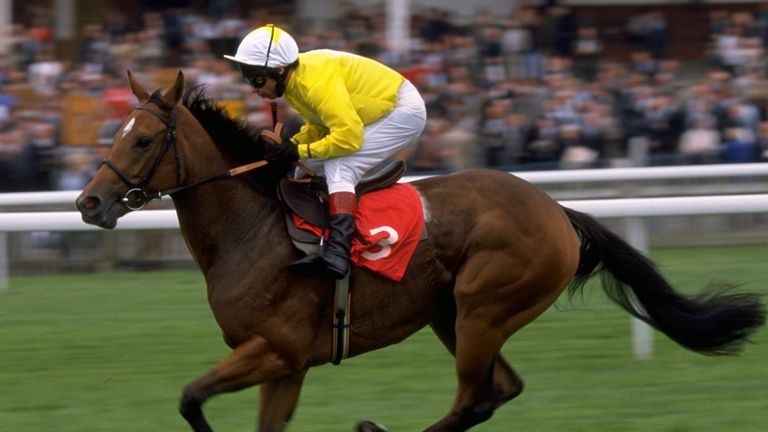 Lindsay Charnock on Flanders