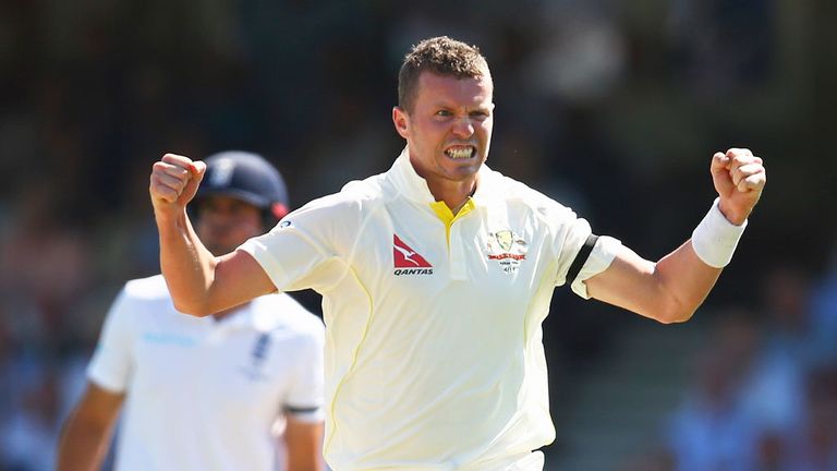 Peter Siddle is enjoying a fine match after being recalled to the Australia team
