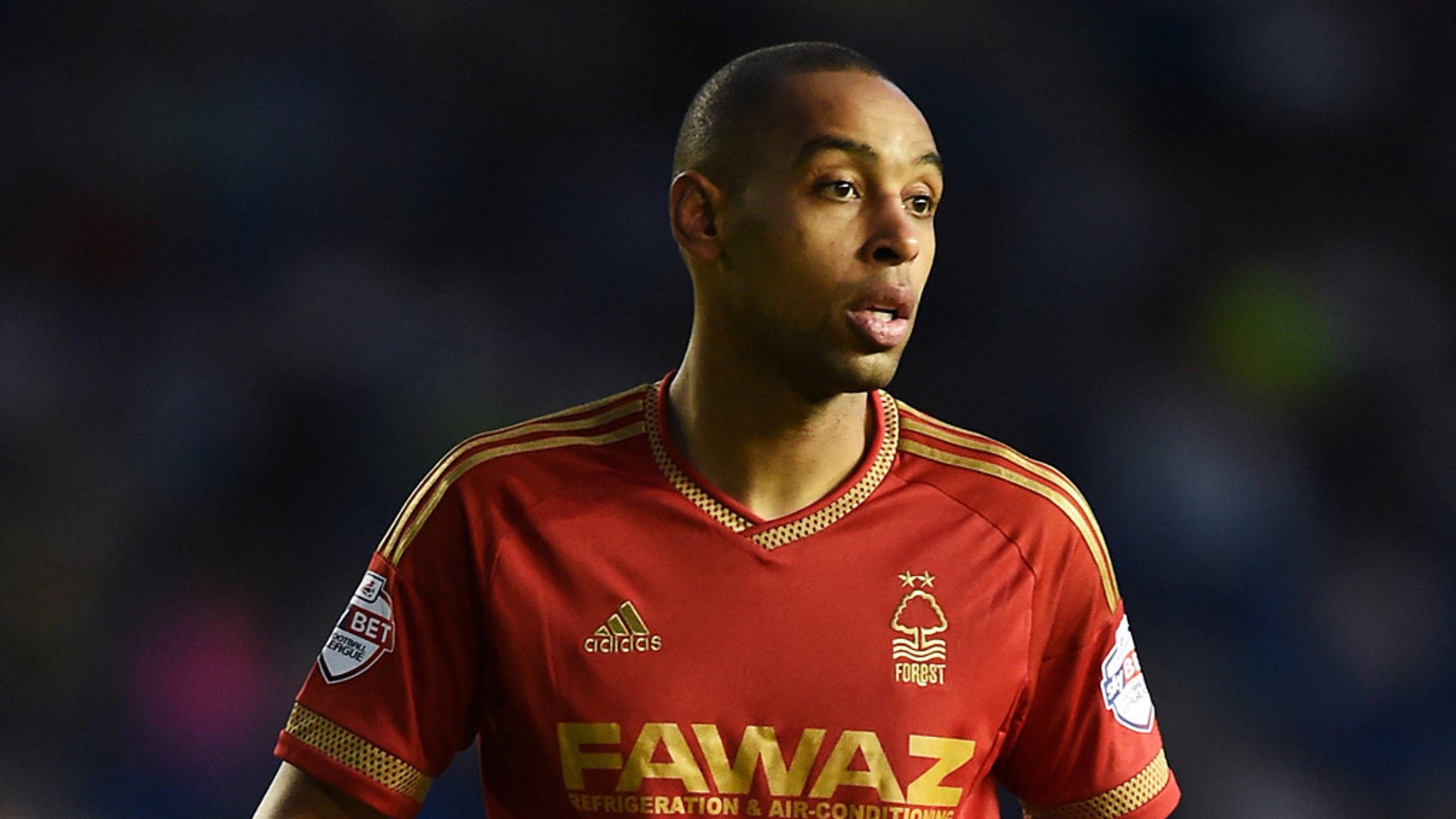 Dexter Blackstock joins Rotherham United Football News Sky Sports