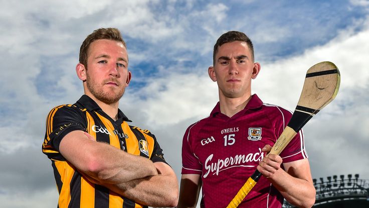 Kilkenny's Richie Hogan and Galway's Jason Flynn