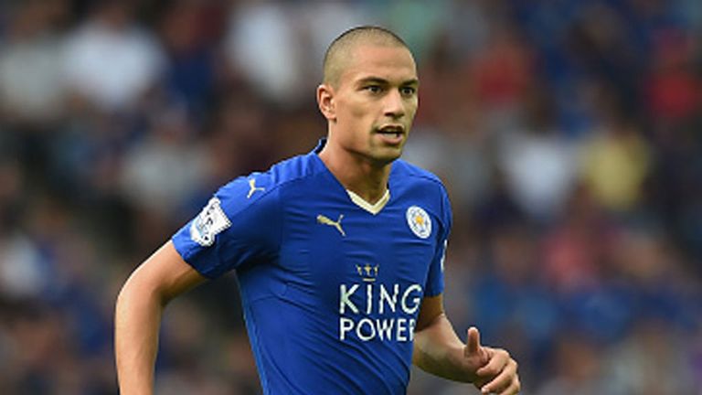 Gokhan Inler has only appeared off the bench once in the Premier League so far for Leicester