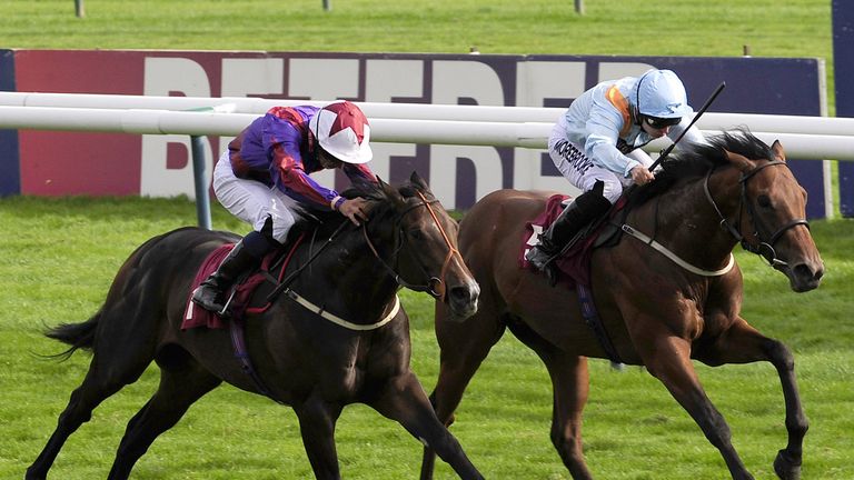 Receding Waves Donjuan Triumphant