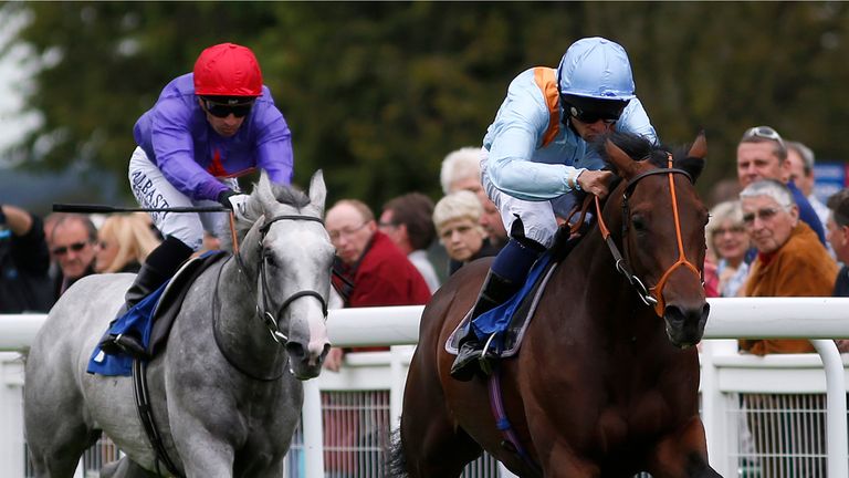 Sean Levey riding Ventura Storm to victory over Justice Law at Salisbury