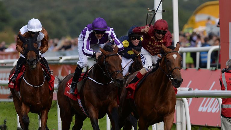 Simple Verse finished ahead of Bondi Beach in the Ladbrokes St Leger