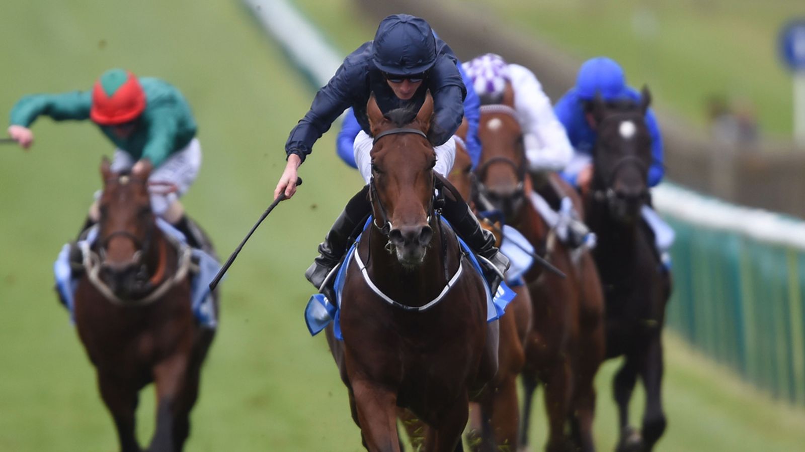 Air Force Blue needs quick ground for Darley July Cup at Newmarket ...