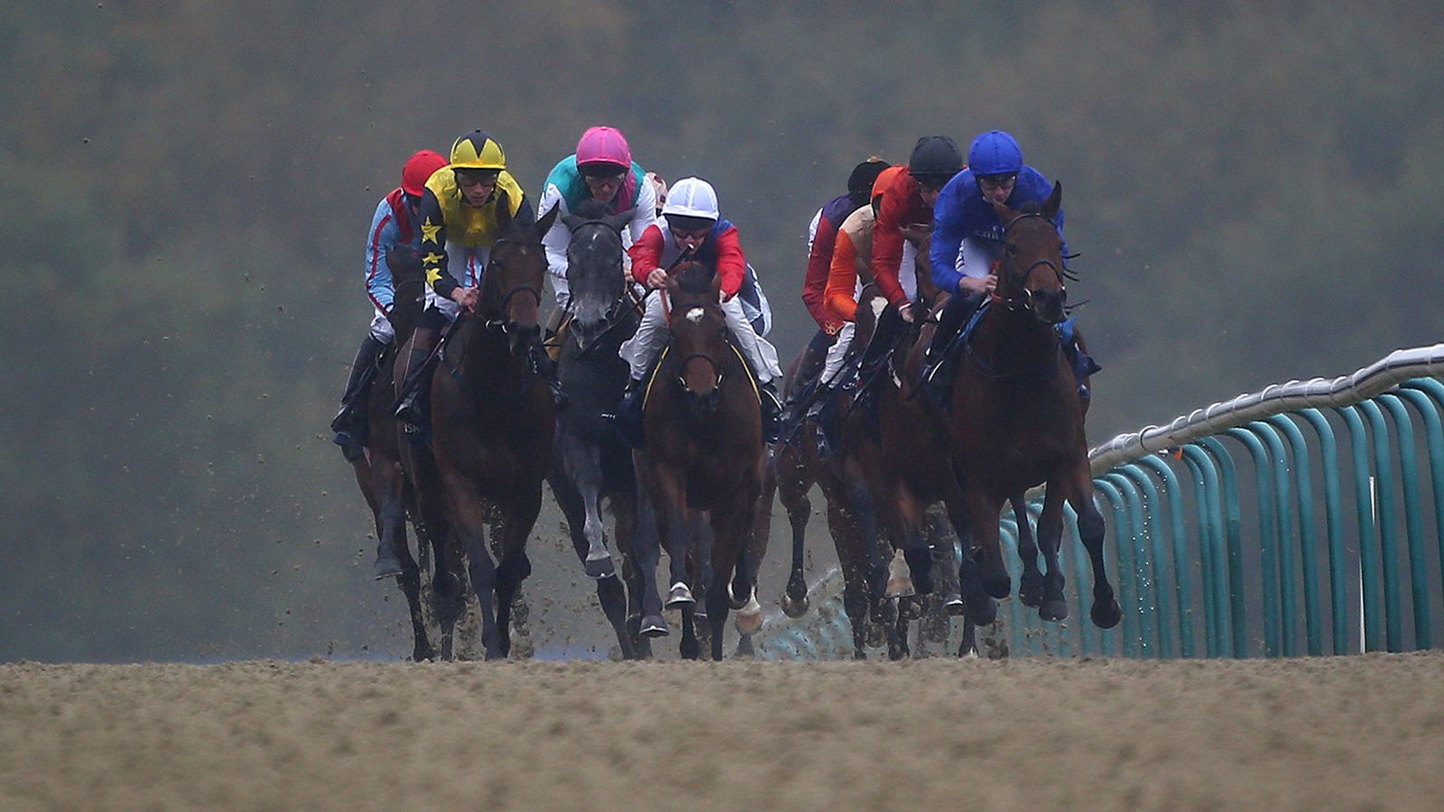 Waterlogged Lingfield activates backup Allweather card Racing News