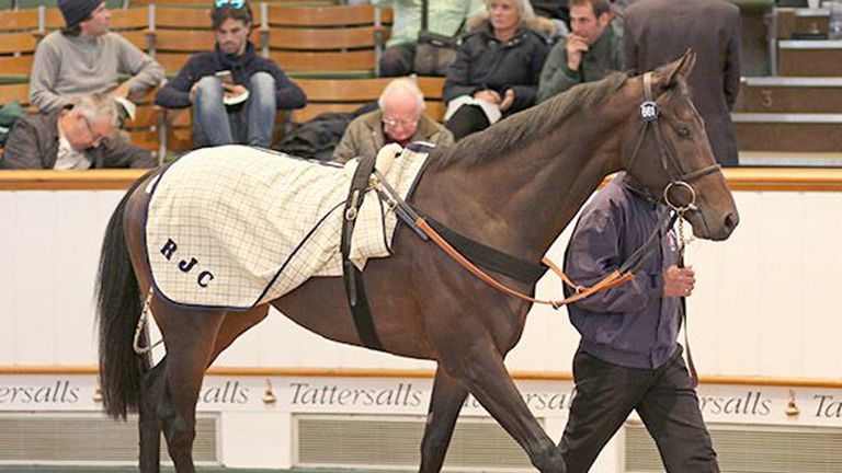 Lot 661 McCreery (www.tattersalls.com)