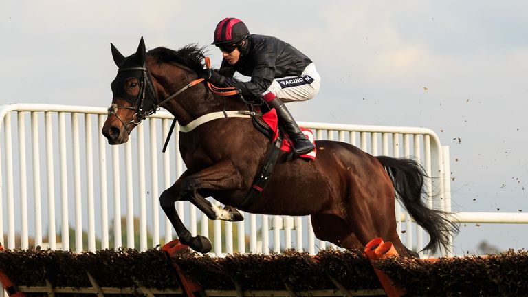 Maputo jumps the last on the way to extending his unbeaten record at Kempton