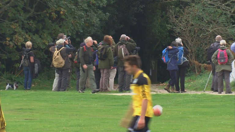 The football takes second place to the birds on the Scilly Isles