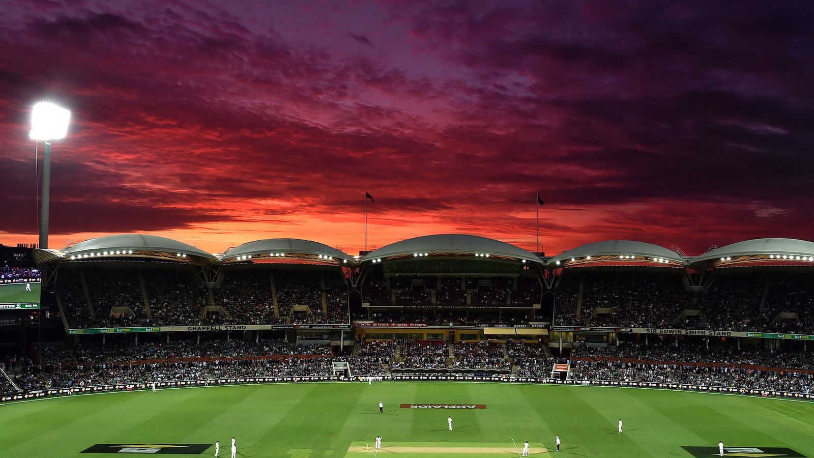 Cricket Australia reveals fans enjoyed inaugural daynight Test
