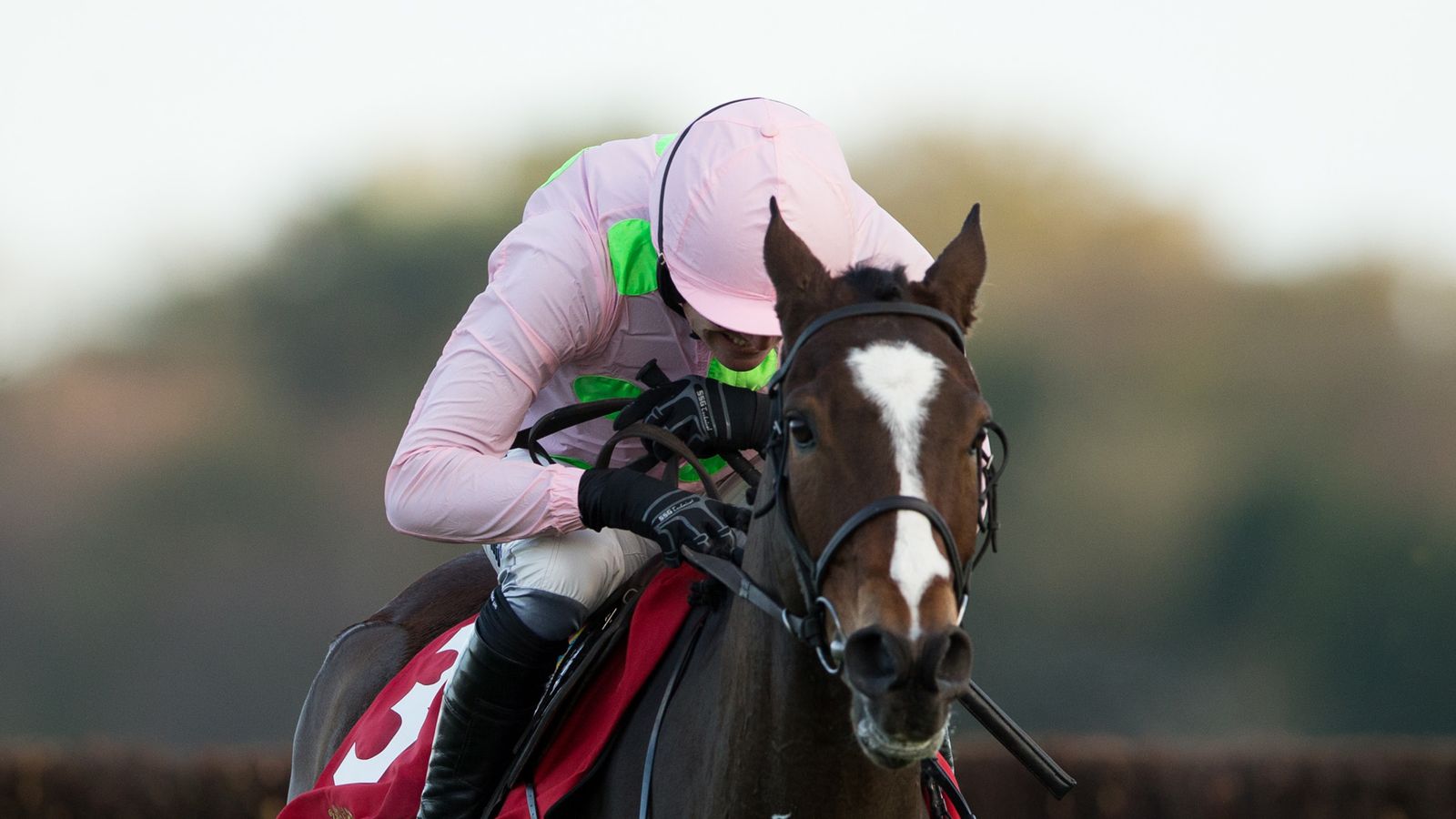 Vautour team look at another run before Cheltenham | Racing News | Sky ...