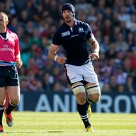 Alasdair Strokosch in action for Scotland during the Rugby World Cup