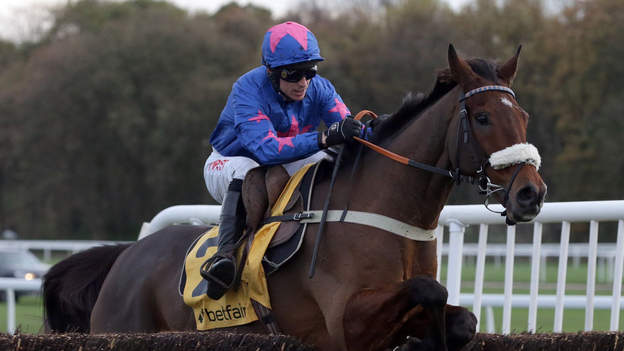 Colin Tizzard says Cue Card deserves to win a King George | Racing News ...