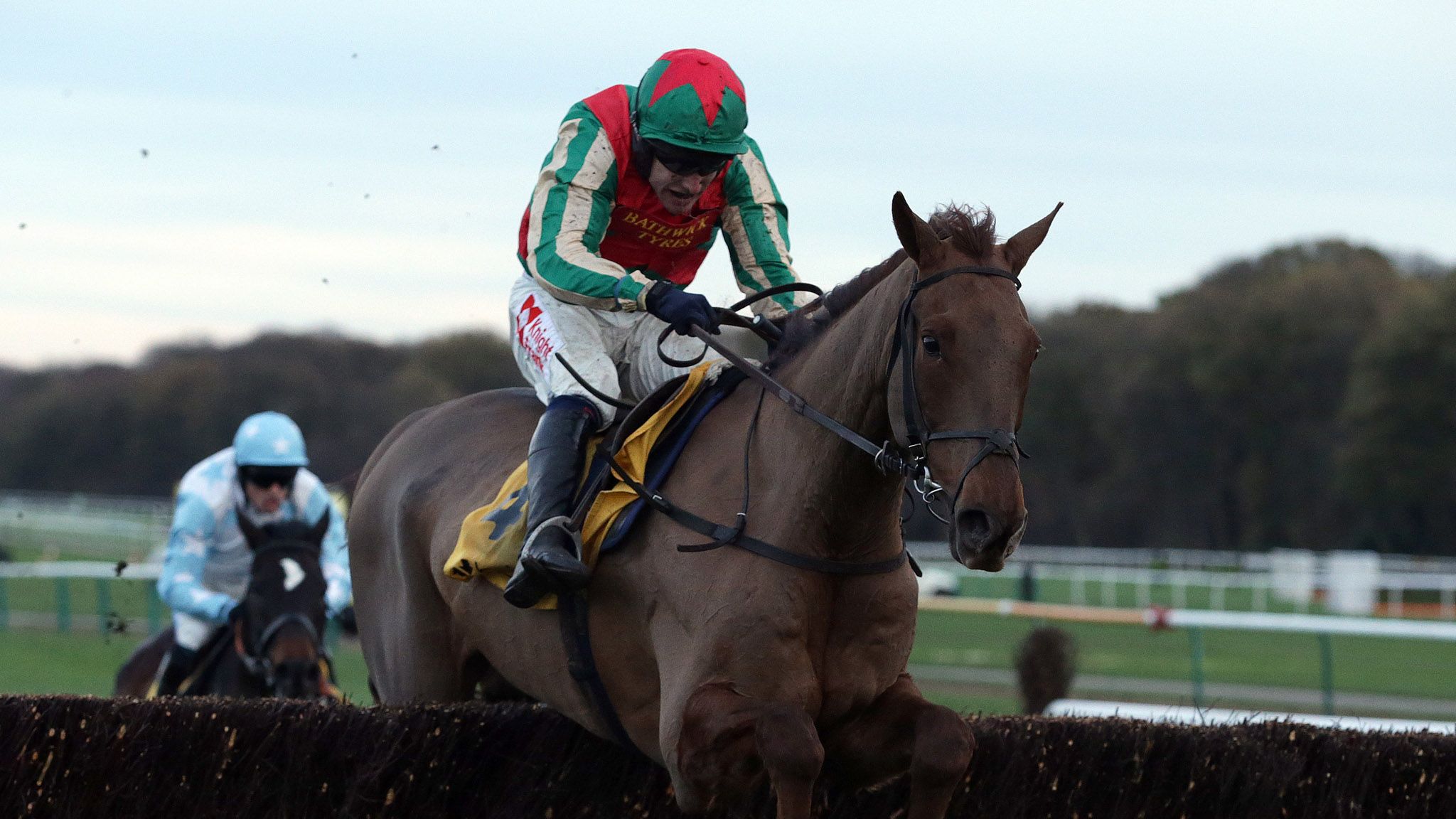 Jockey Tom Scudamore pays tribute as Vieux Lion Rouge is retired after ...