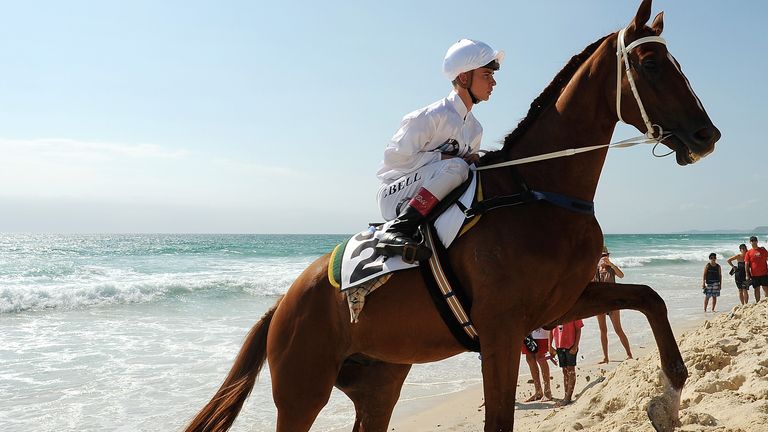 Tim Bell rides Riding for Honours during a Magic Millions photo call