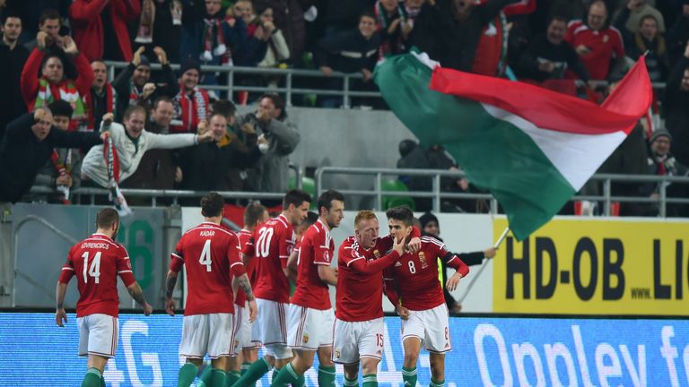 Hungary players celebrate after teammate Tamas Priskin  scores