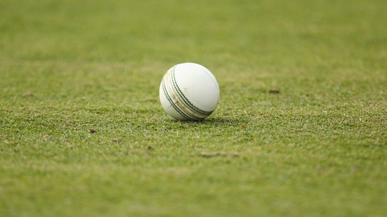Generic cricket ball