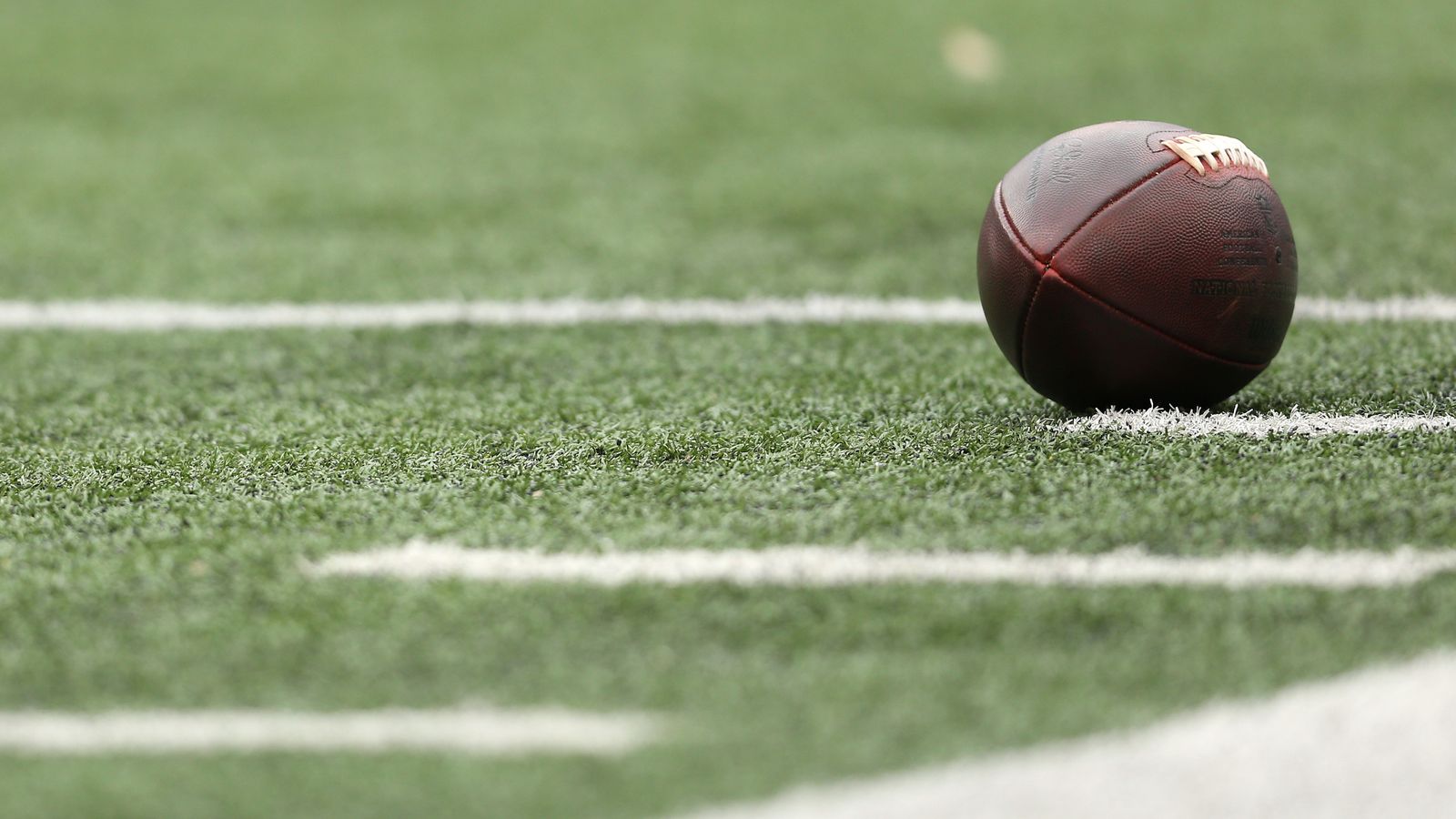 Baltimore Ravens to switch to natural grass for next NFL season NFL