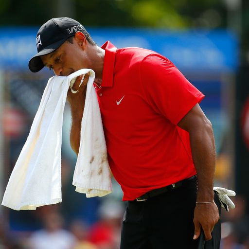 Tiger 'progressing nicely'