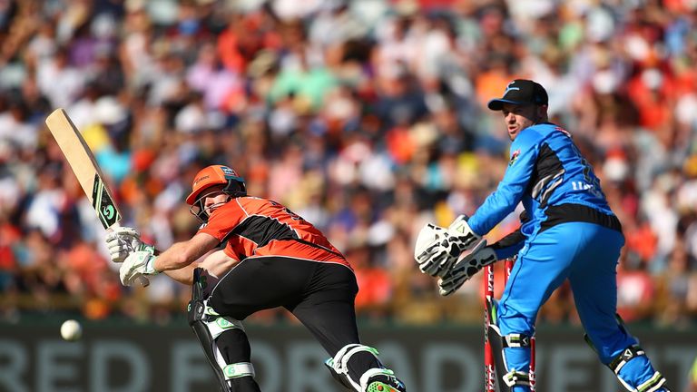 Adam Voges of the Scorchers bats during the Big Bash League match between Perth Scorchers and Adelaide Strikers at WACA