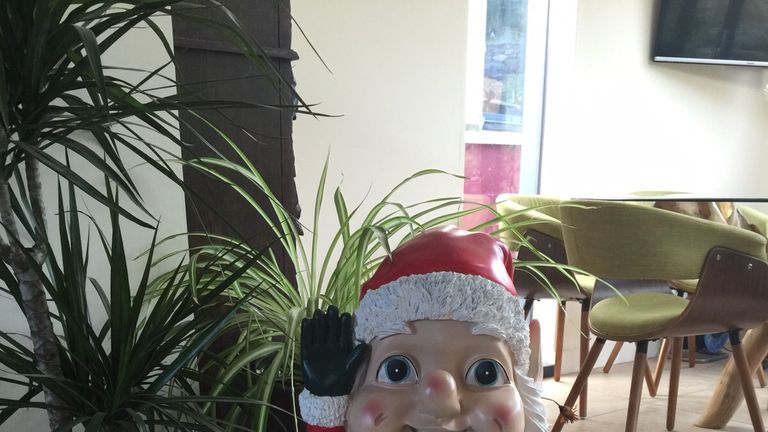 It's Christmas - which means the gnome count in the Holloway home is up to 10!