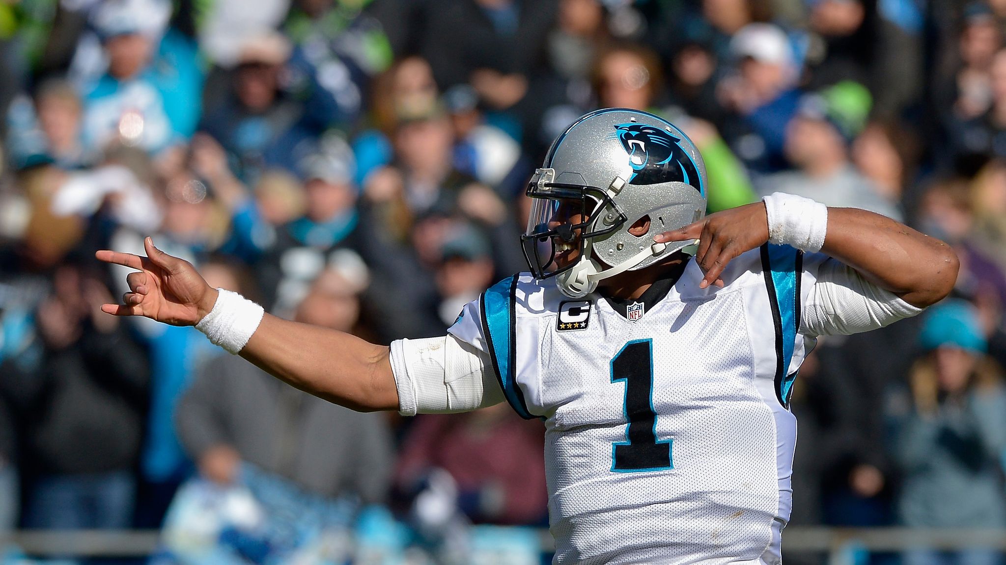 Arizona Cardinals @ Carolina Panthers: Is it the forgotten final?, NFL  News