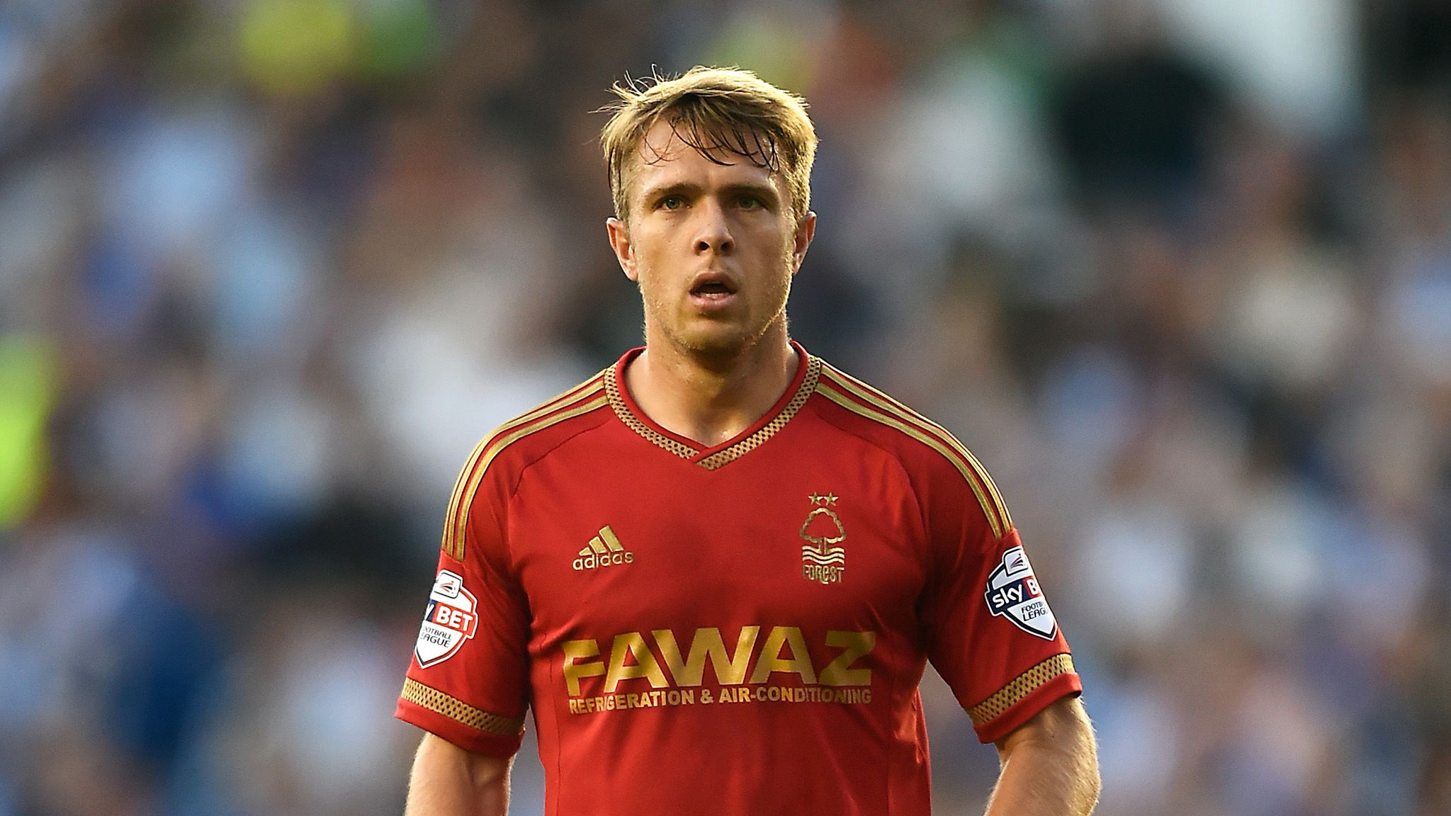 Nottingham Forest 3-0 Bolton: Jamie Ward shines in Forest win