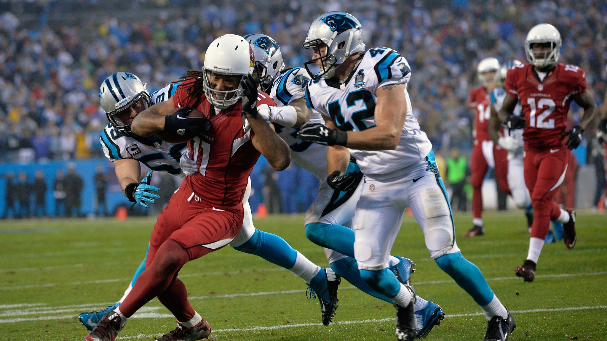 NFL: Arizona Cardinals at Carolina Panthers