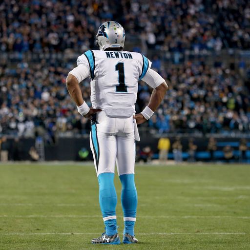 The physics of Newton