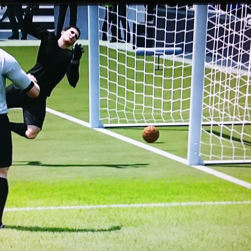 Hurst shot 'did cross the line'